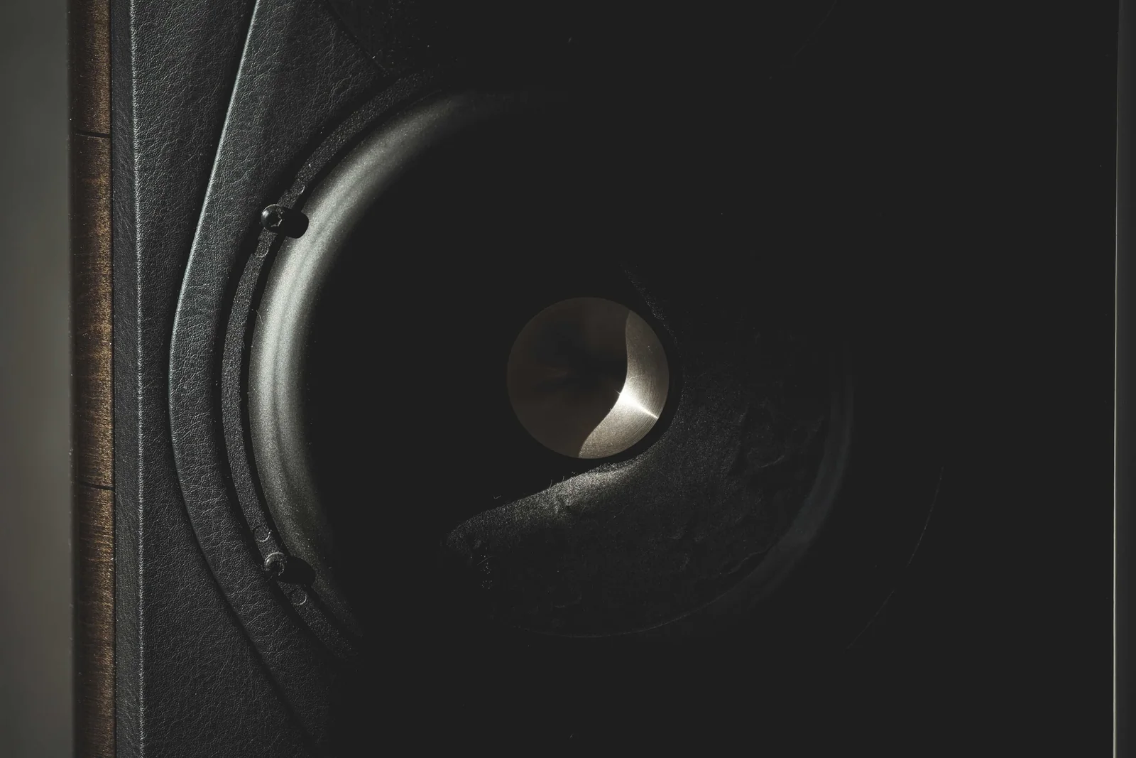 Close-up of a loudspeaker cone, surround and frame